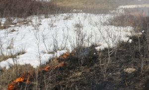 Snow and grass fire