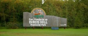 birds hill sign
