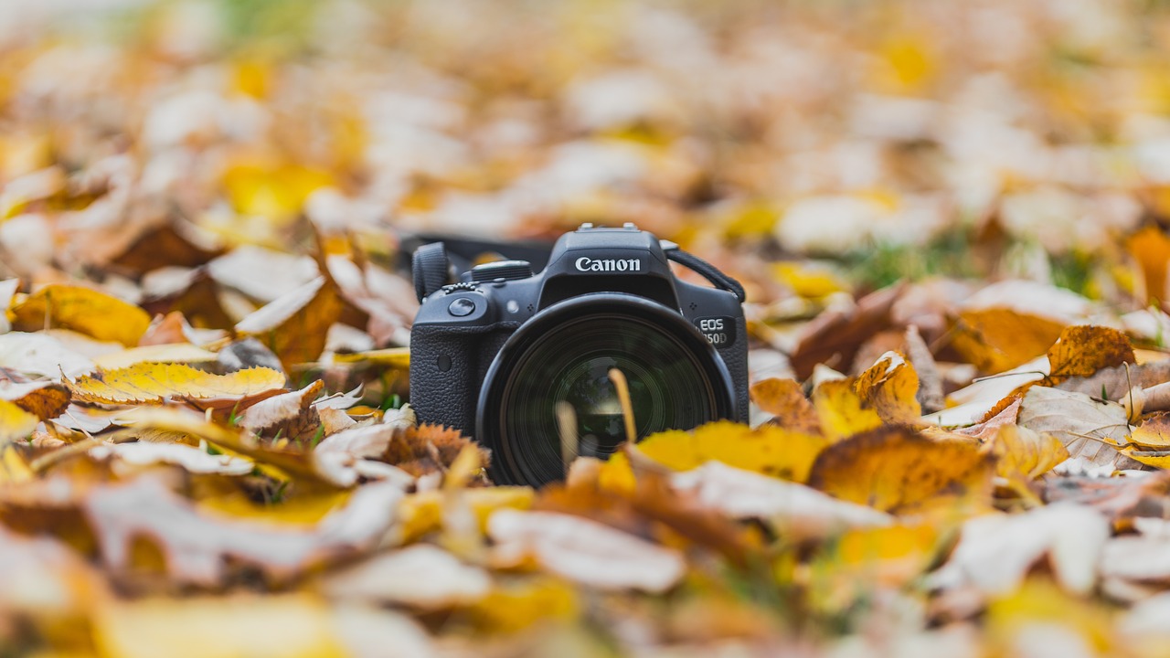 fall camera